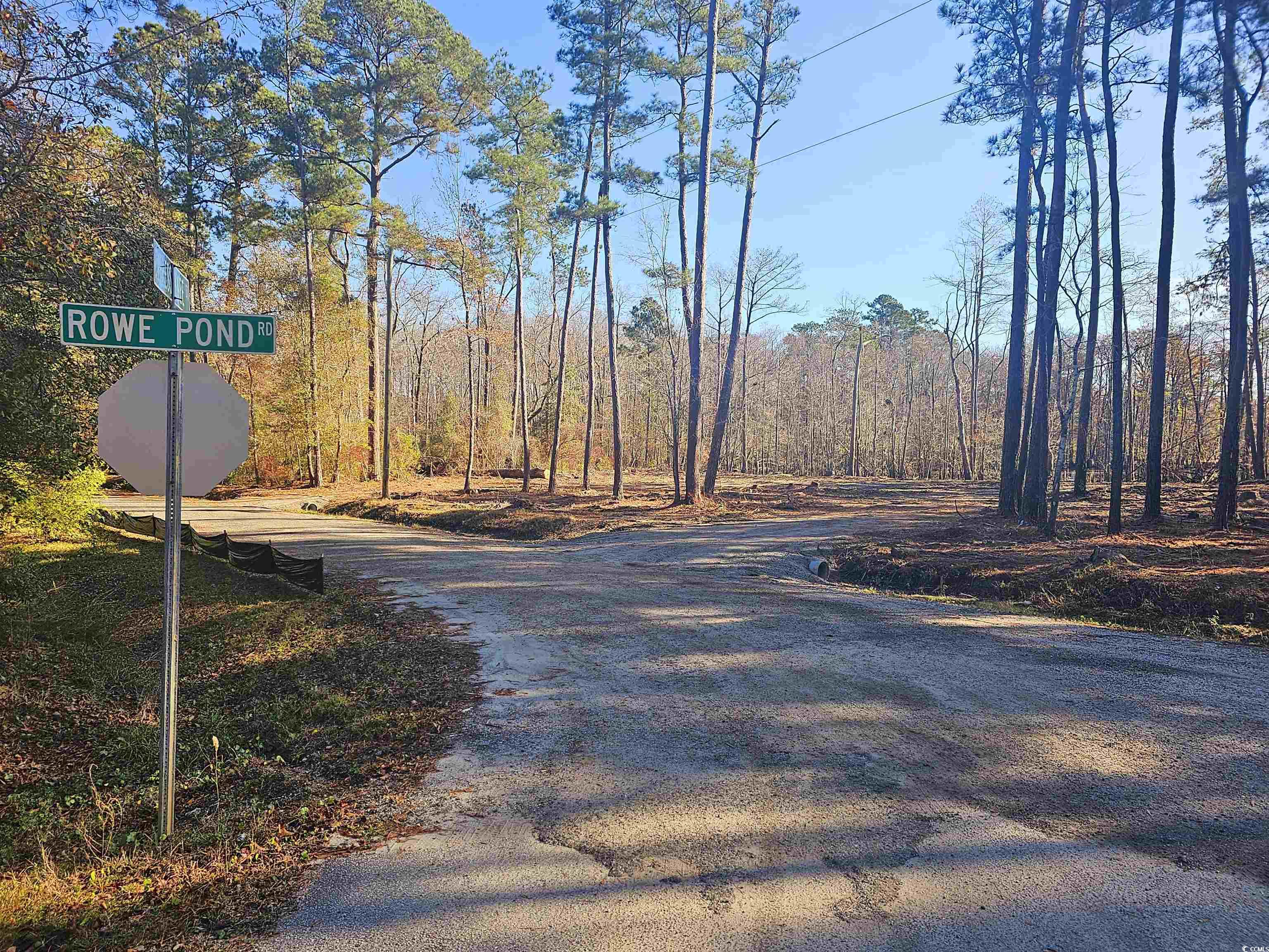 Lot 17 Rowe Pond Road Conway, SC 29526 - Photo 1 of 8 Gallery Image 1