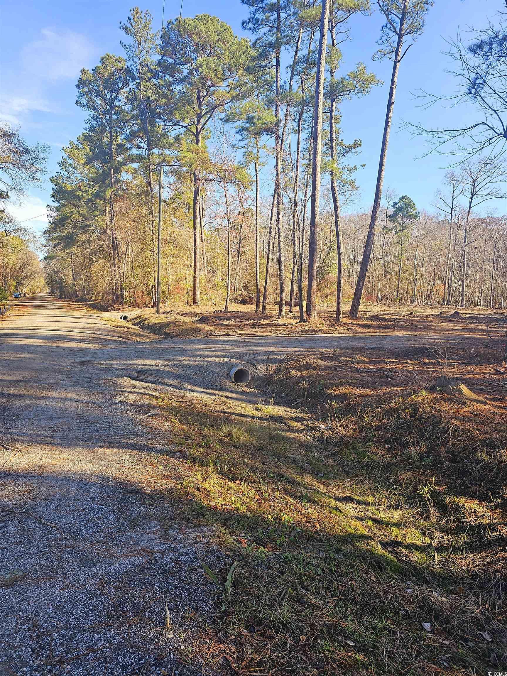 Lot 17 Rowe Pond Road Conway, SC 29526 - Photo 2 of 8 Gallery Image 2