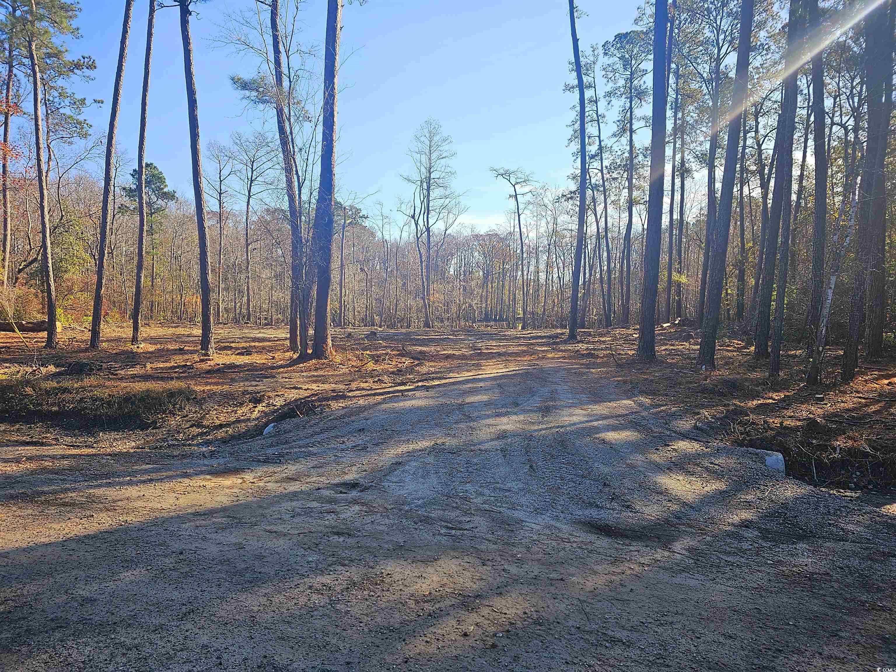 Lot 17 Rowe Pond Road Conway, SC 29526 - Photo 3 of 8 Gallery Image 3