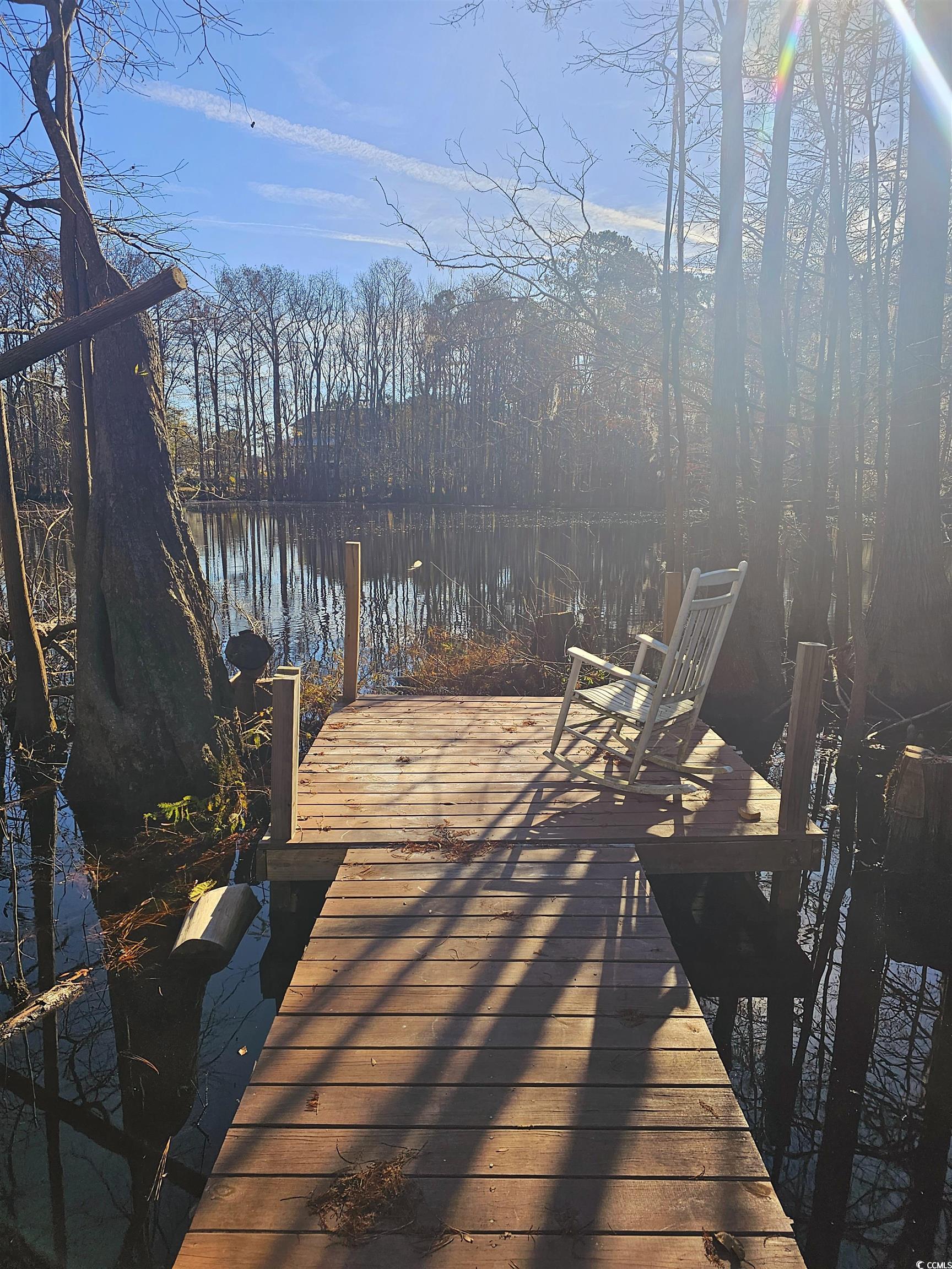 Lot 17 Rowe Pond Road Conway, SC 29526 - Photo 4 of 8 Gallery Image 4