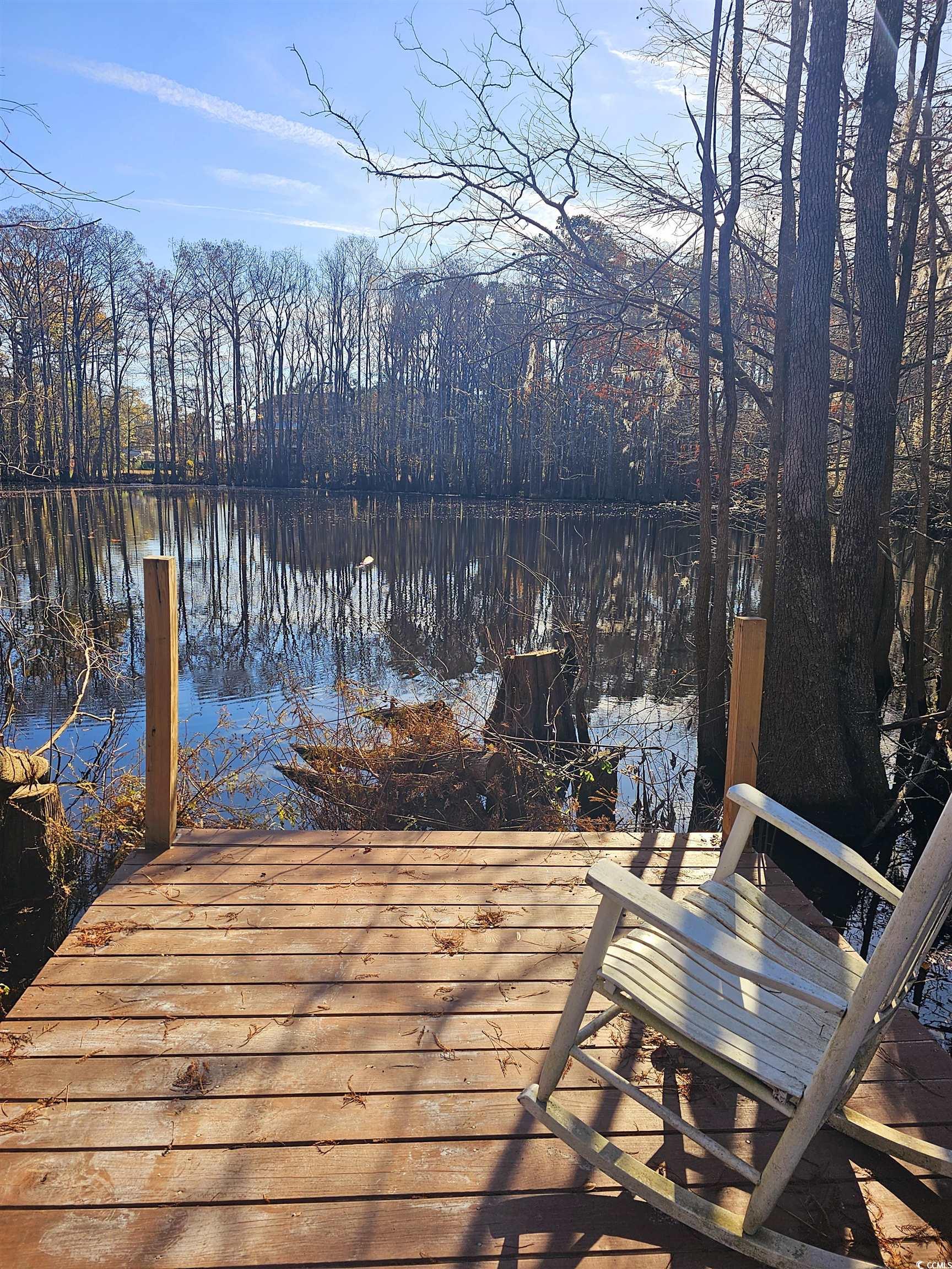 Lot 17 Rowe Pond Road Conway, SC 29526 - Photo 5 of 8 Gallery Image 5