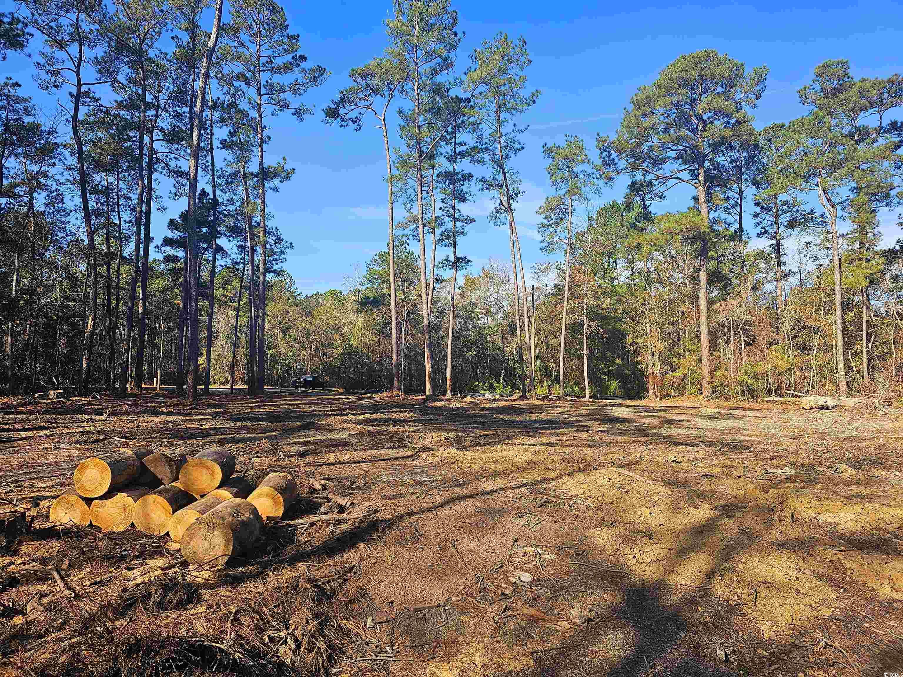 Lot 17 Rowe Pond Road Conway, SC 29526 - Photo 7 of 8 Gallery Image 7