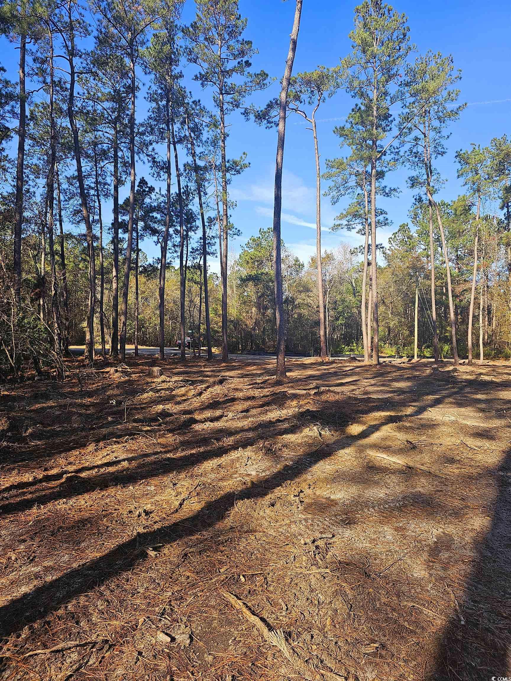 Lot 17 Rowe Pond Road Conway, SC 29526 - Photo 8 of 8 Gallery Image 8