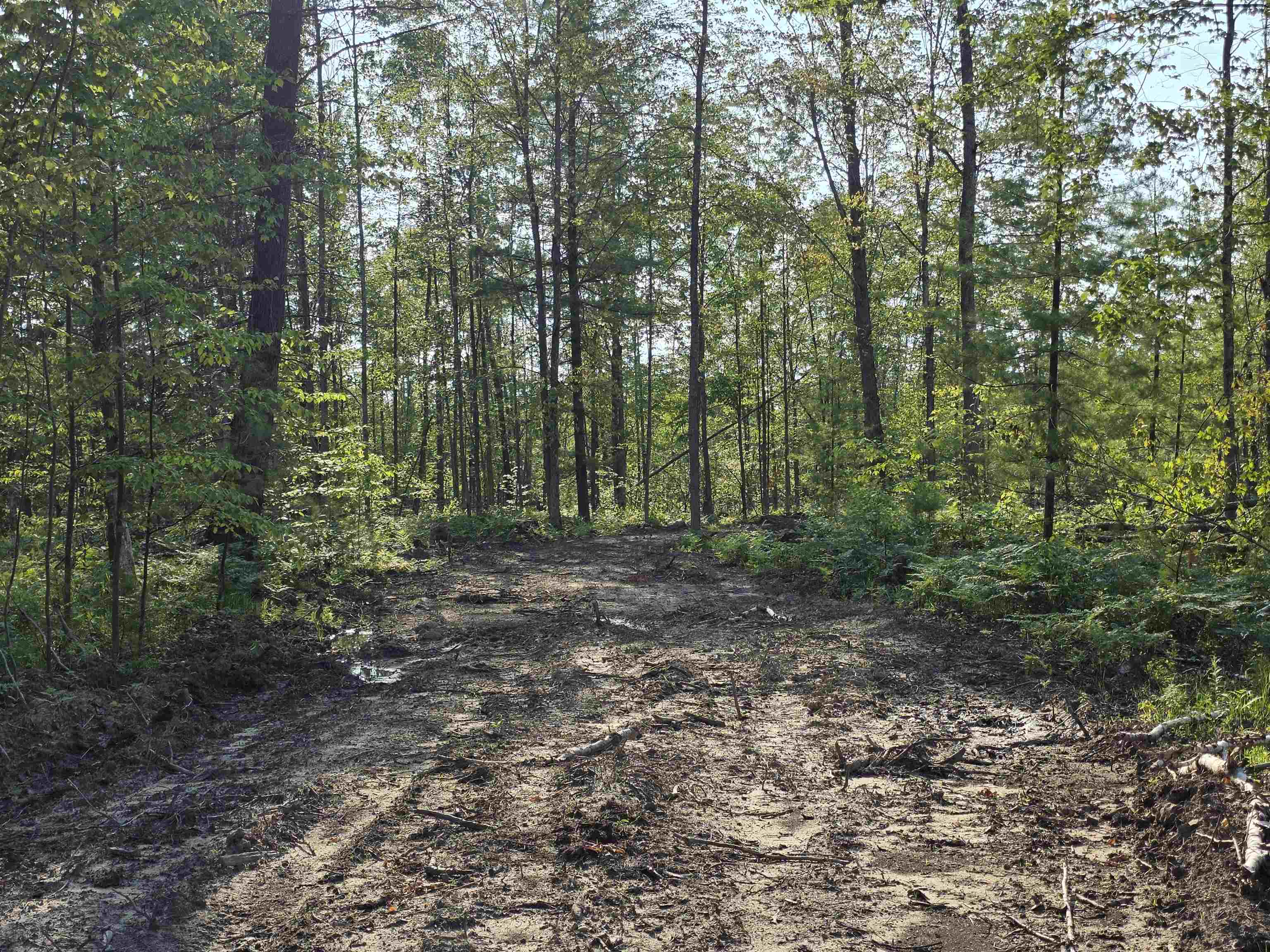 0 Arnold Road Manton, MI 49663 - Photo 39 of 63