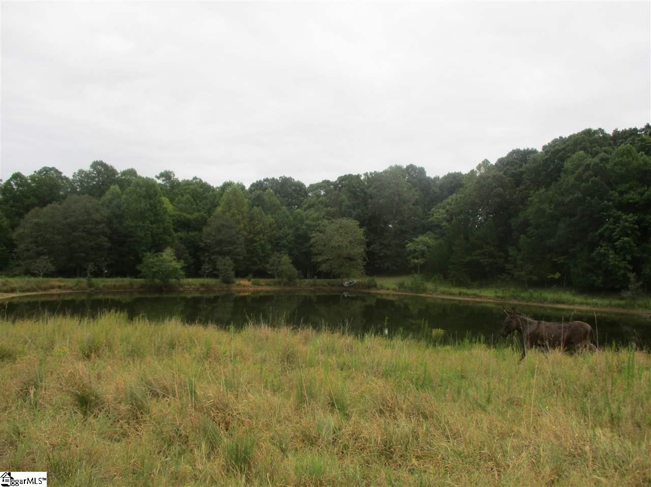 1231 Durham Road Piedmont, SC 29673 - Photo 2 of 33