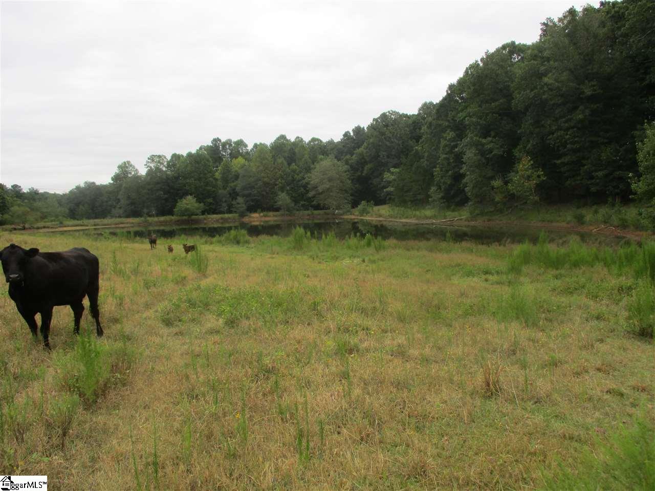 1231 Durham Road Piedmont, SC 29673 - Photo 20 of 33