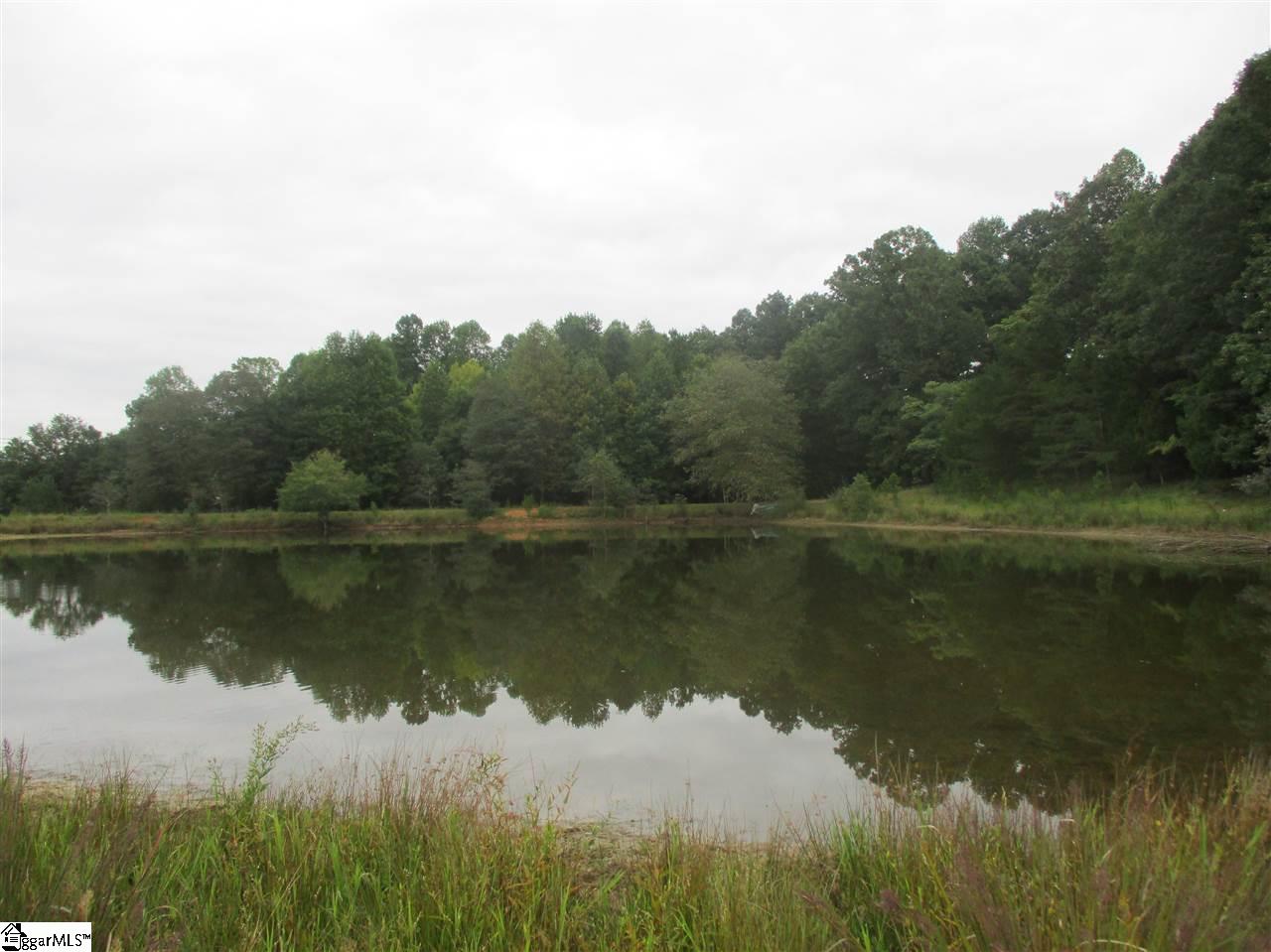 1231 Durham Road Piedmont, SC 29673 - Photo 25 of 33