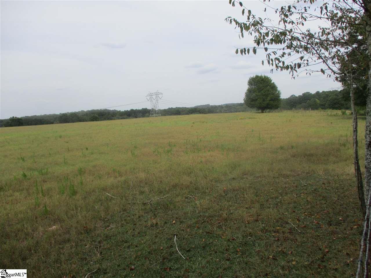 1231 Durham Road Piedmont, SC 29673 - Photo 4 of 33