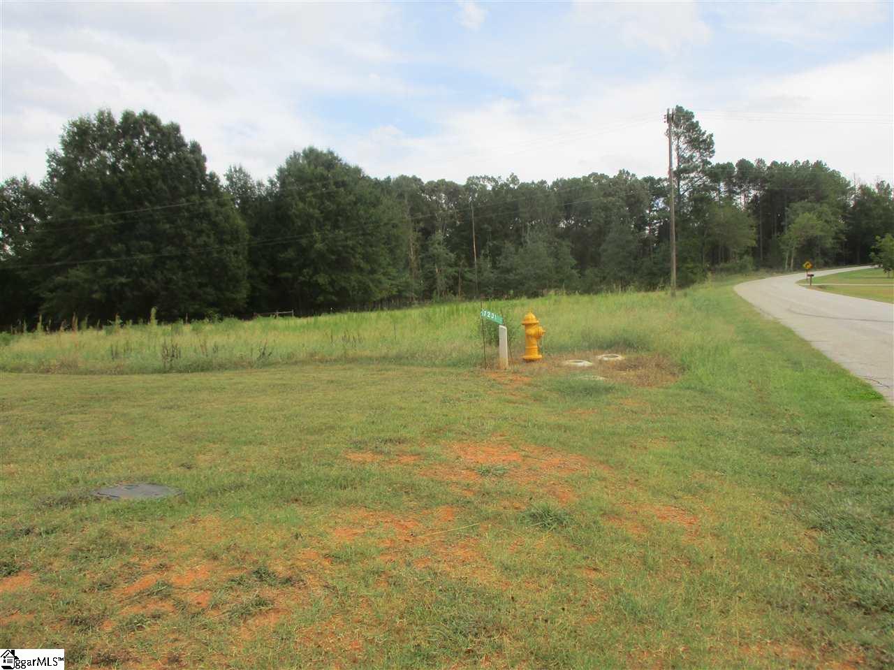 1231 Durham Road Piedmont, SC 29673 - Photo 32 of 33