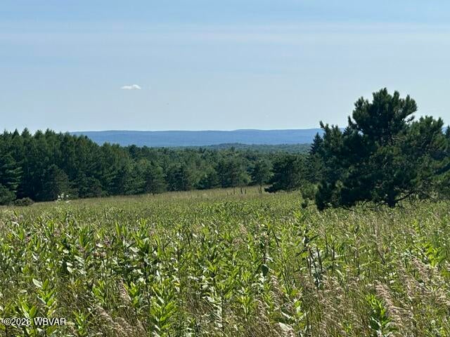 Iron Gate Road Beech Creek, PA 16822 - Photo 11 of 20 Gallery Image 11