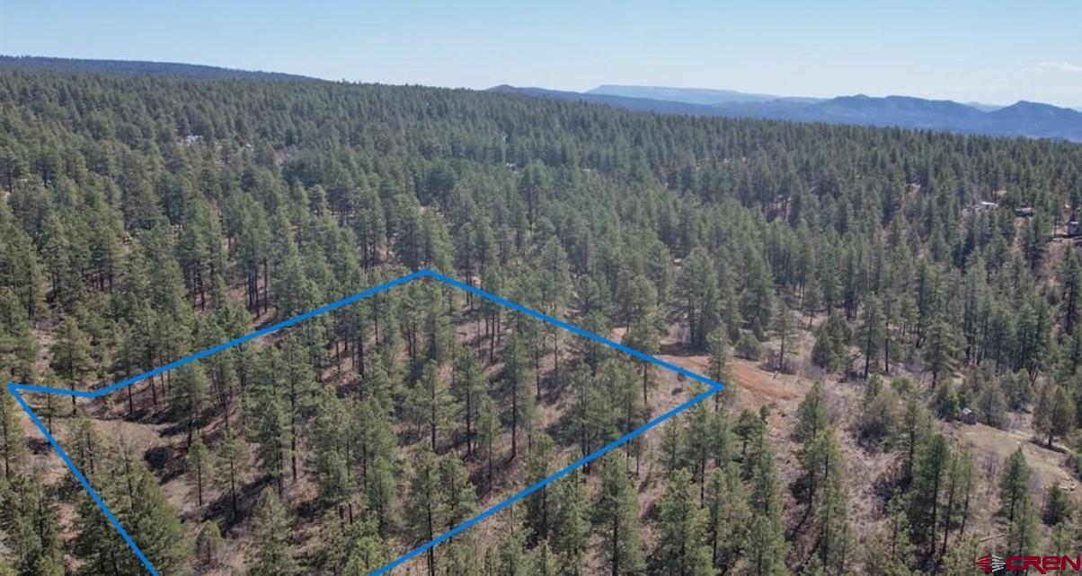 121 Engineer Point Pagosa Springs, CO 81147 - Photo 3 of 43