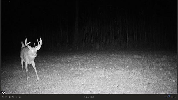44047 Little Pine Road, Unit 568 ACRES Emily, MN 56447 - Photo 79 of 92