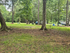 6210 Smoak Retreat Road Adams Run, SC 29426 - Photo 6 of 14 land 9