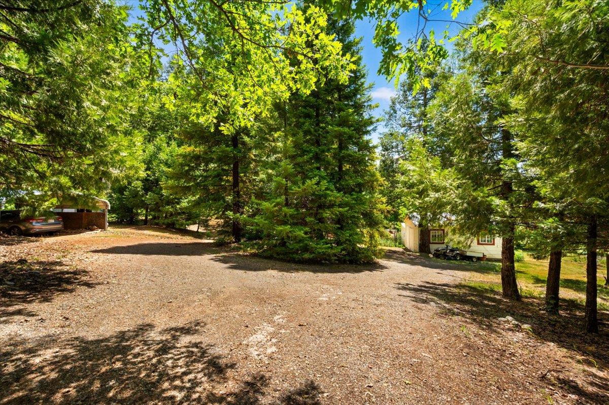 9086 La Porte Road Brownsville, CA 95919 - Photo 34 of 54