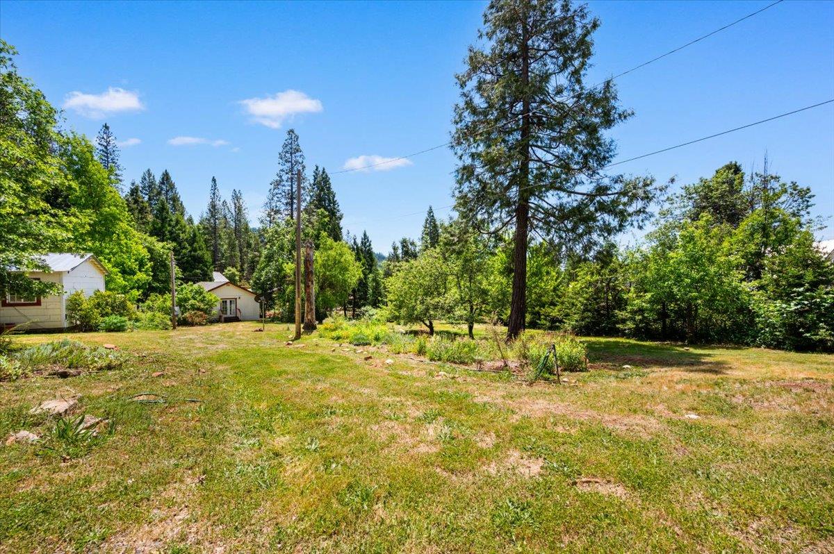 9086 La Porte Road Brownsville, CA 95919 - Photo 38 of 54