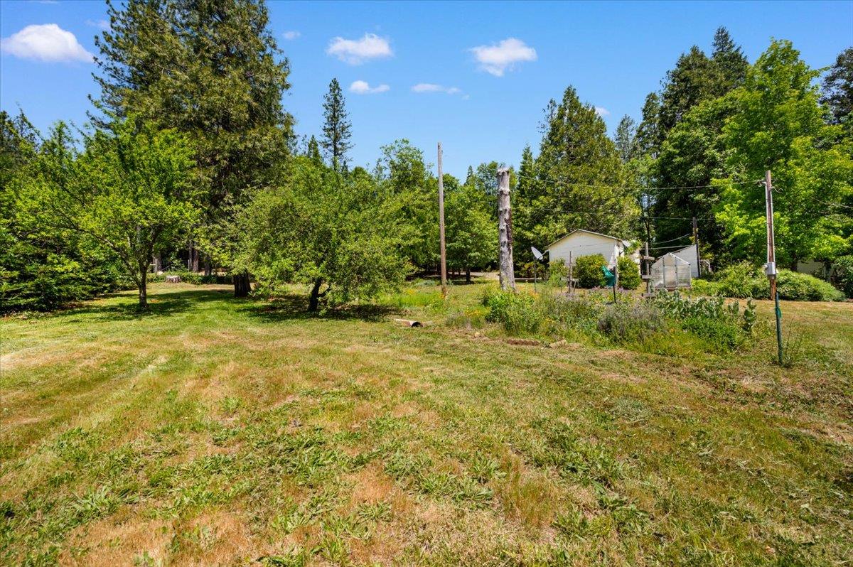 9086 La Porte Road Brownsville, CA 95919 - Photo 41 of 54