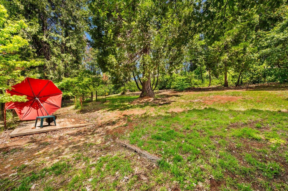 9086 La Porte Road Brownsville, CA 95919 - Photo 43 of 54