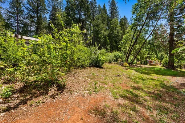 a view of a pathway with a tree