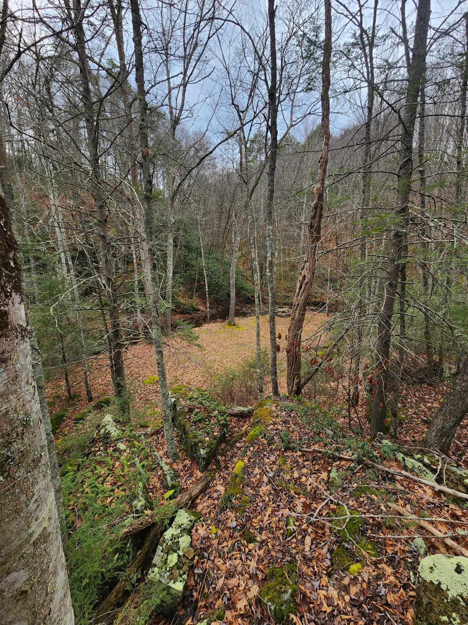 3763 Potomac River Road Monterey, VA 24465 - Photo 5 of 23 Gallery Image 5