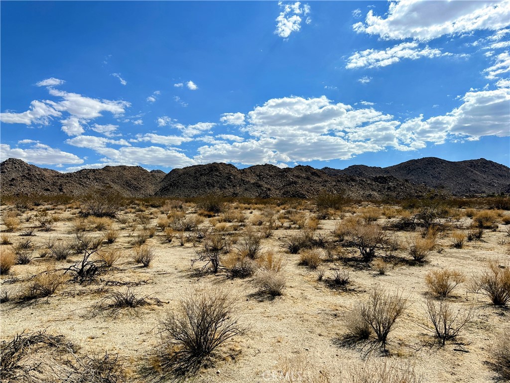31 Sullivan Road Joshua Tree, CA 92252 - Photo 2 of 8 a view of a city