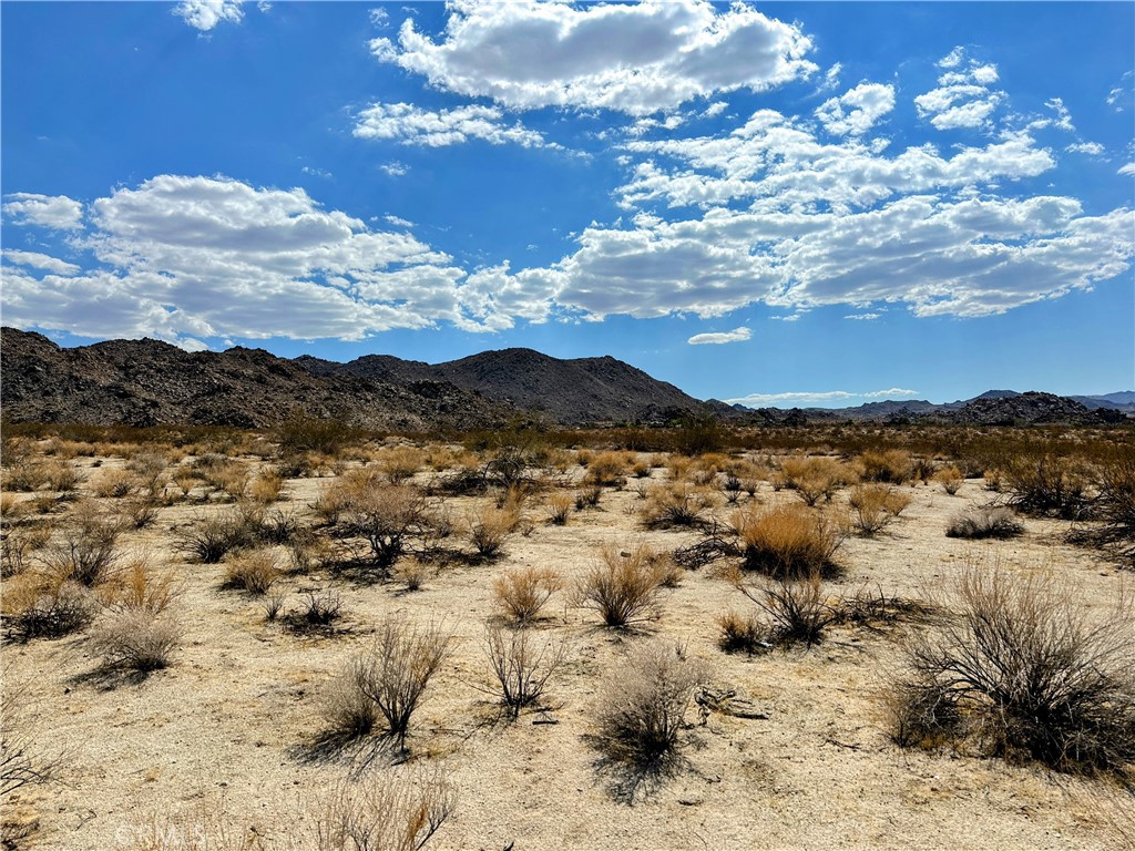 31 Sullivan Road Joshua Tree, CA 92252 - Photo 3 of 8 a view of city and mountain