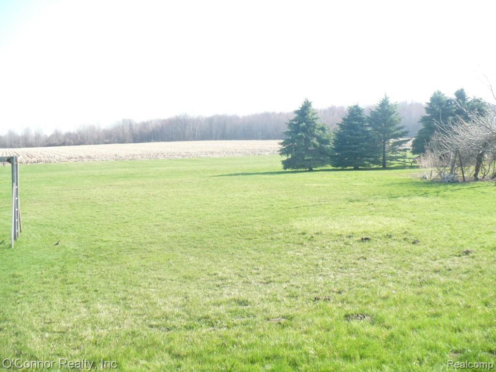 9095 Rattle Run Road Columbus, MI 48063 - Photo 4 of 14 RR View from Sunroom.jpg