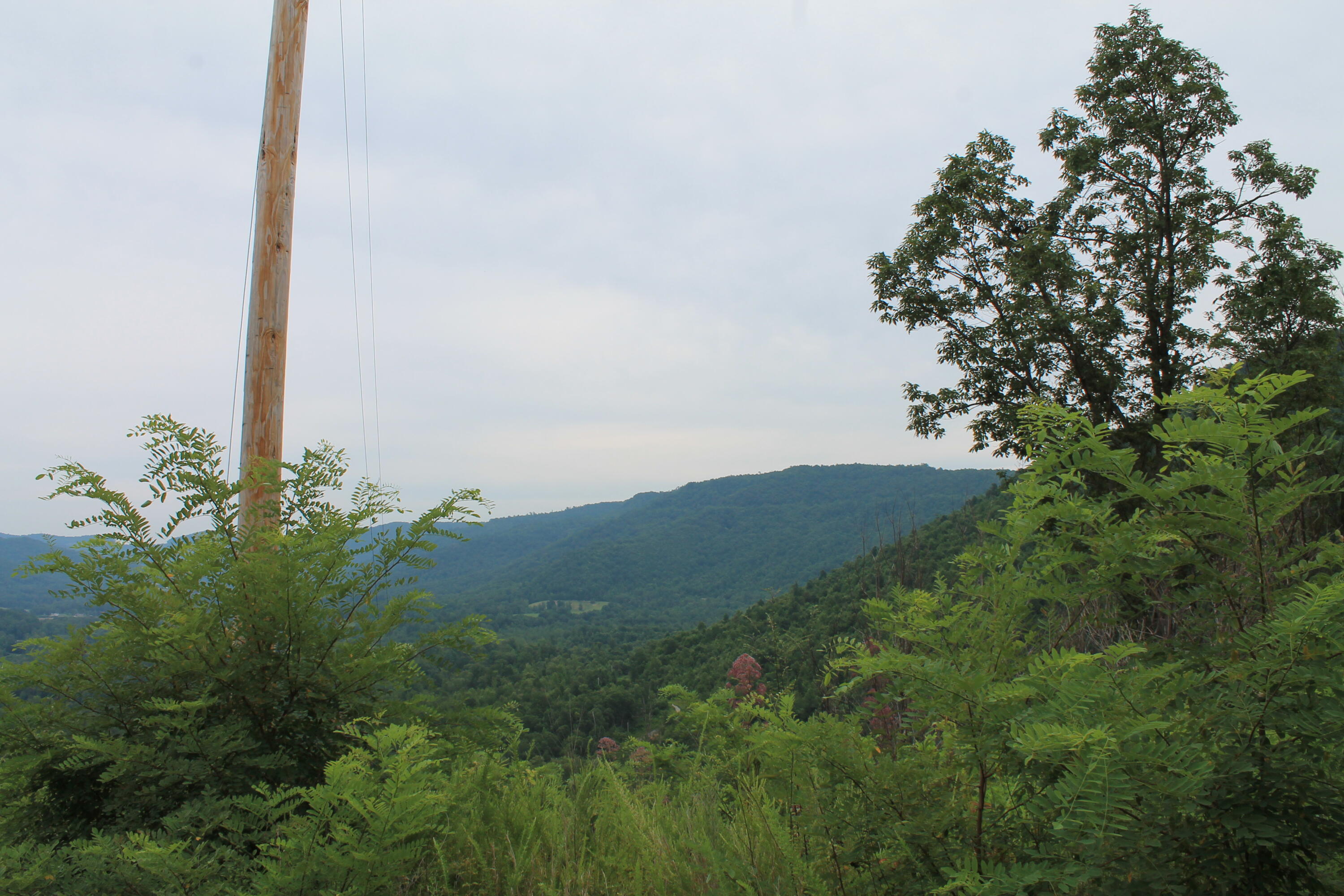2 Straight Fork Road, Unit TRACT 2 Huntsville, TN 37756 - Photo 12 of 13 Utilities Available