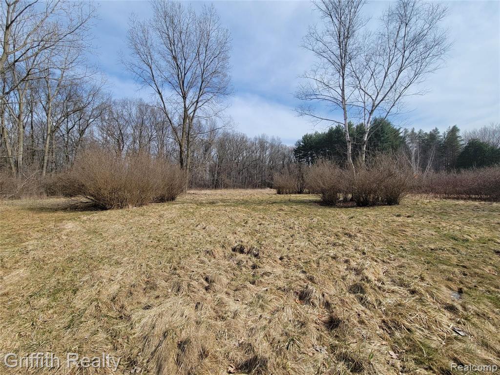 501 South Kellogg Road Howell, MI 48843 - Photo 13 of 13