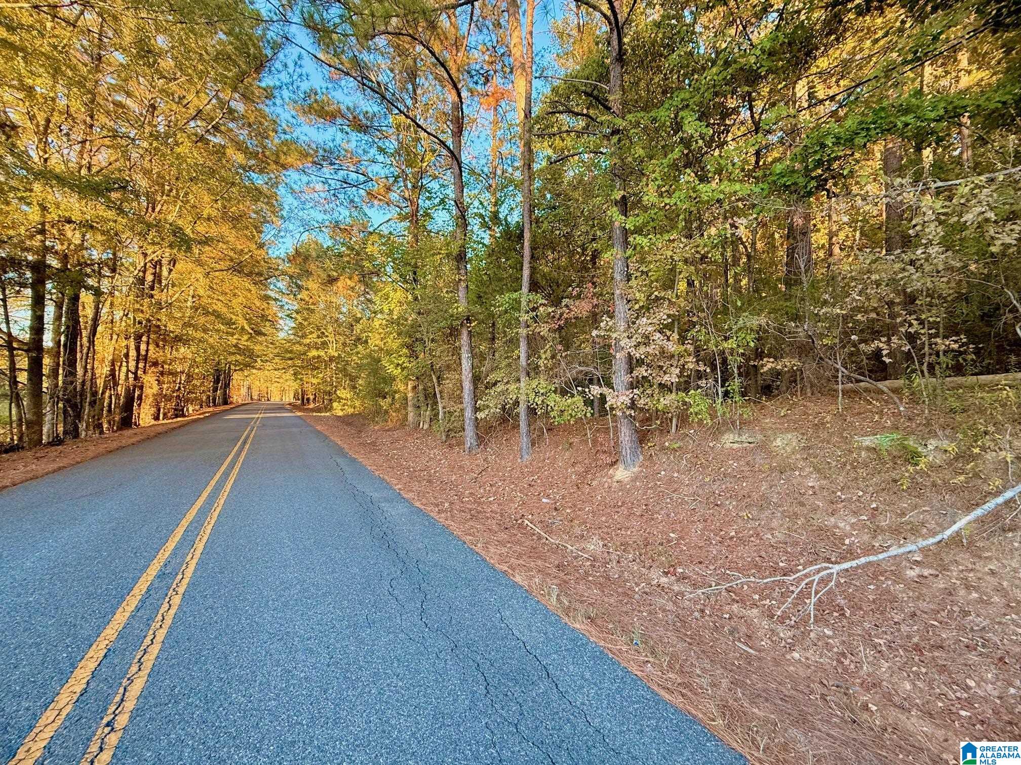 4343 Grayton Road Ohatchee, AL 36271 - Photo 53 of 72 Gallery Image 53