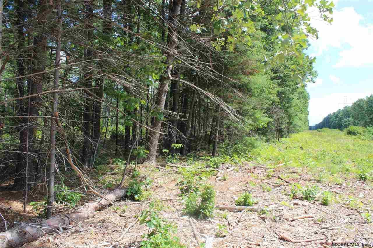 144 Butler Road Moreau, NY 12831 - Photo 3 of 6 Photo 3