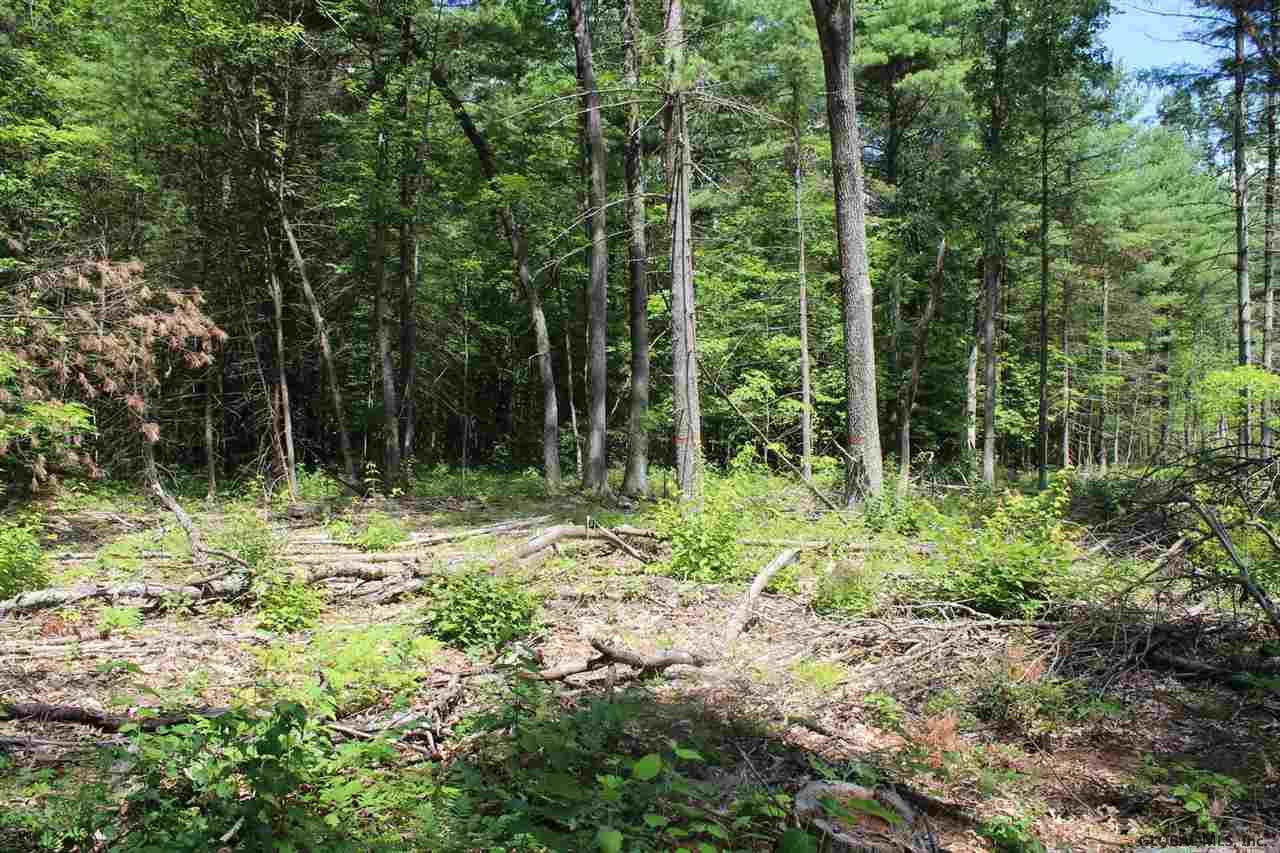 144 Butler Road Moreau, NY 12831 - Photo 4 of 6 Photo 4