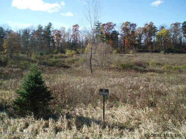Lick Springs Road Greenwich, NY 12834 - Photo 1 of 2 Photo 1