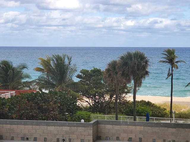 a view of a yard with palm tree