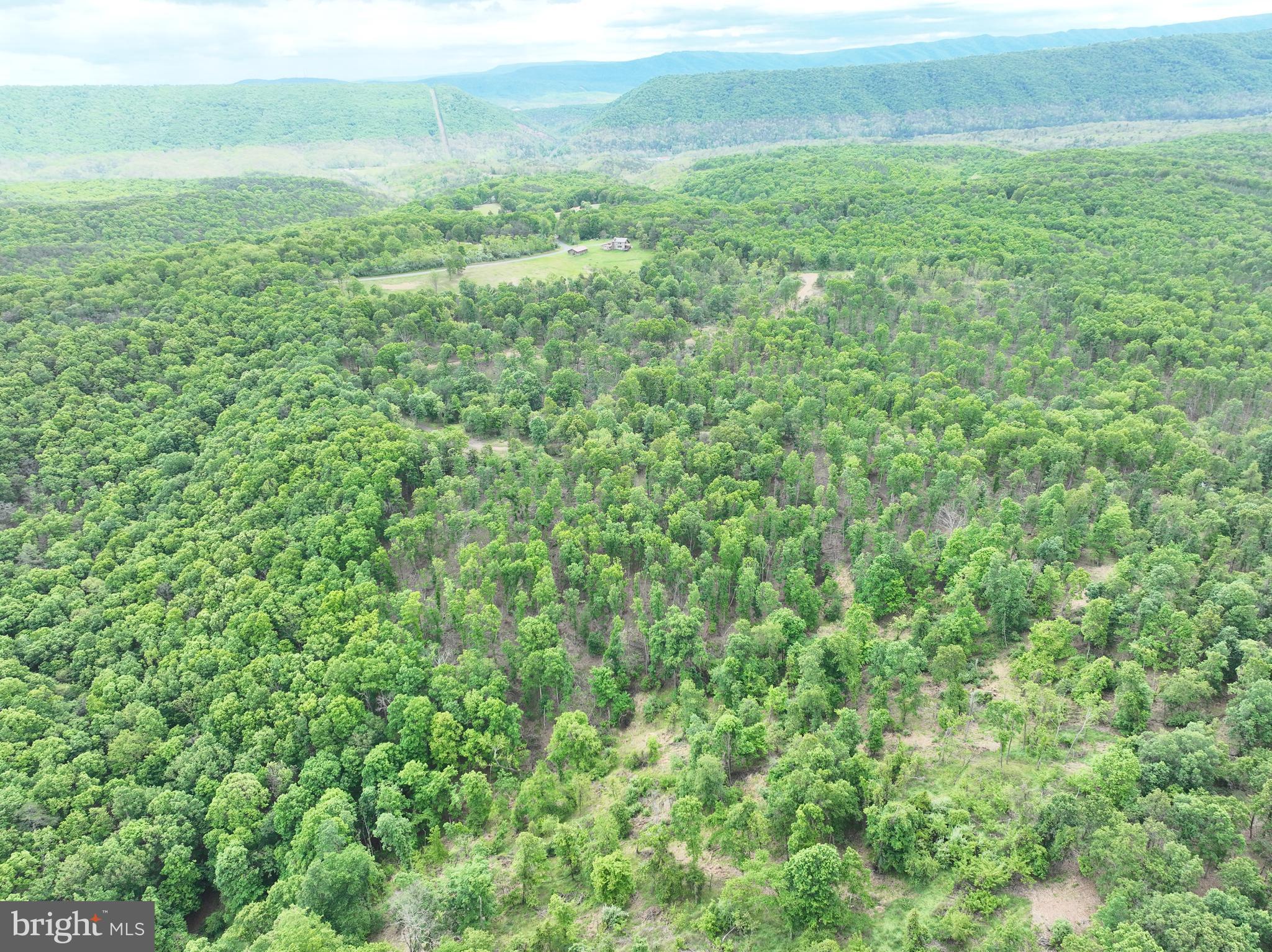 40.15-ac Middle Ridge Road Burlington, WV 26710 - Photo 43 of 47