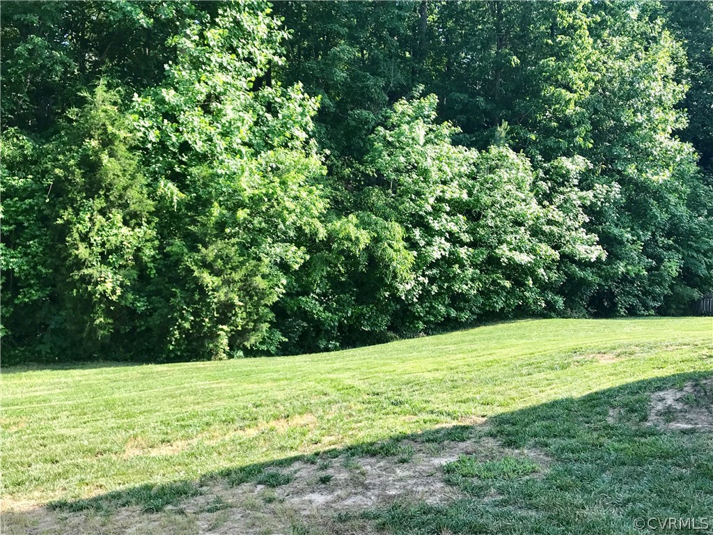 5409 Takach Road Prince George, VA 23875 - Photo 8 of 26 a view of a field with a trees in the background