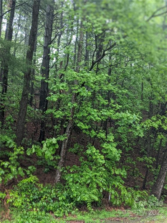 0 Melrose Mountain Road, Unit 513 Tryon, NC 28782 - Photo 1 of 7 a view of a lush green forest