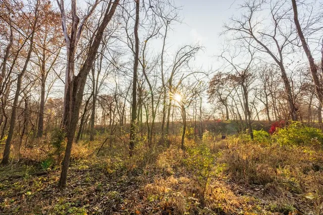 $884,900 | Tbd Tbd 188th Street, Holt, MO 64048