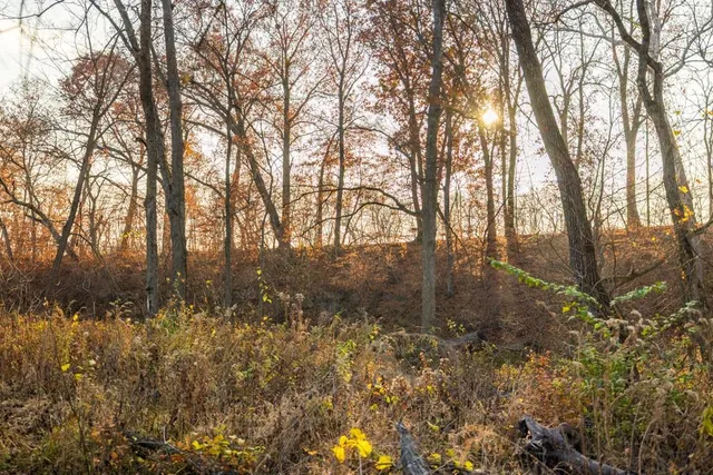 $884,900 | Tbd Tbd 188th Street, Holt, MO 64048