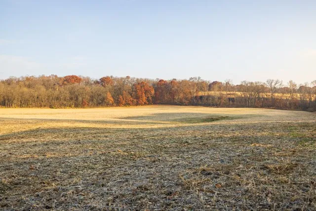 $884,900 | Tbd Tbd 188th Street, Holt, MO 64048