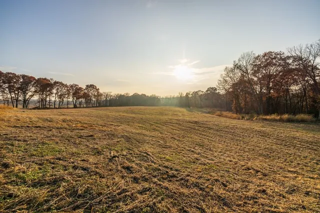 $884,900 | Tbd Tbd 188th Street, Holt, MO 64048