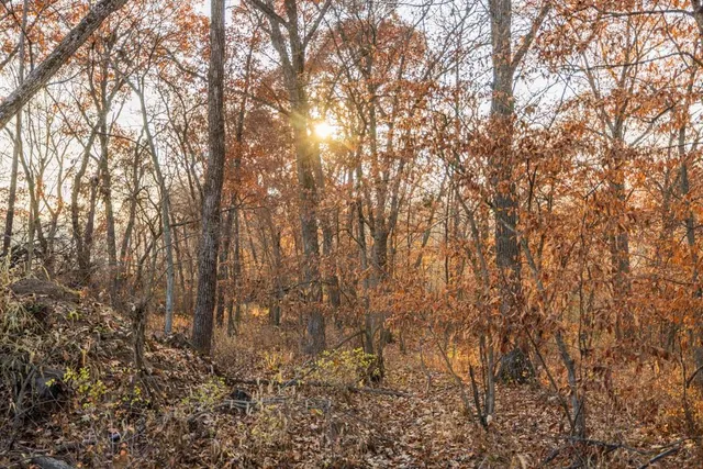 $884,900 | Tbd Tbd 188th Street, Holt, MO 64048