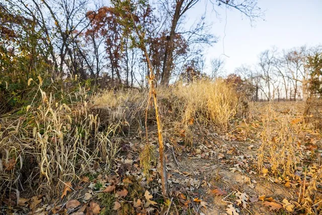 $884,900 | Tbd Tbd 188th Street, Holt, MO 64048