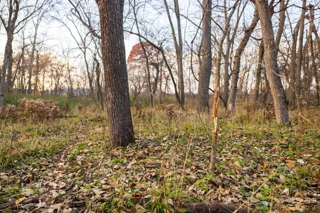 $884,900 | Tbd Tbd 188th Street, Holt, MO 64048