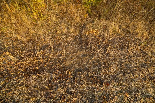 $884,900 | Tbd Tbd 188th Street, Holt, MO 64048