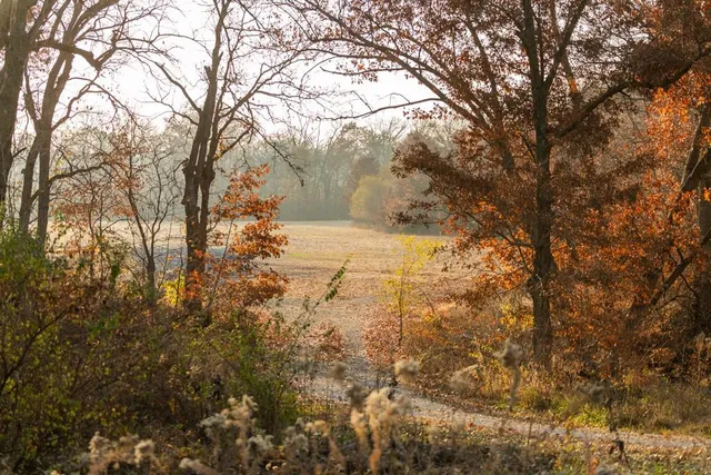 $884,900 | Tbd Tbd 188th Street, Holt, MO 64048