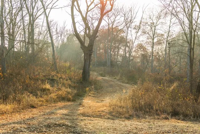 $884,900 | Tbd Tbd 188th Street, Holt, MO 64048