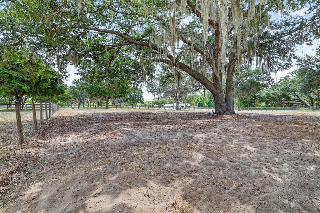 11241 Em En El Grove Road Leesburg, FL 34788 - Photo 53 of 59 Gallery Image 53