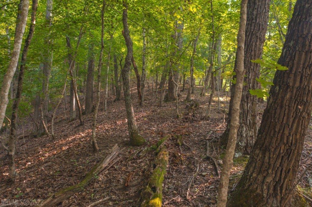 Tbd North Fork Road Elliston, VA 24087 - Photo 2 of 26 Gallery Image 2