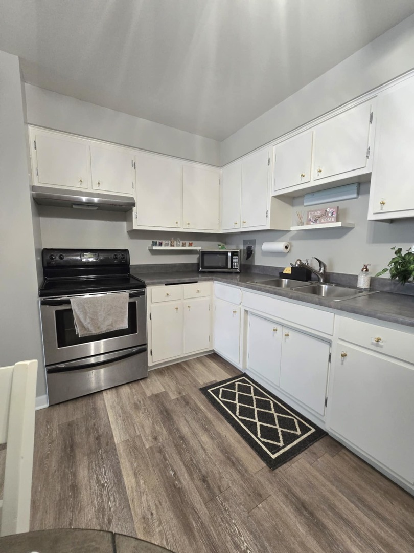 1101 Harlem Avenue, Unit 203 Oak Park, IL 60130 - Photo 12 of 58 a kitchen with granite countertop a stove and white cabinets