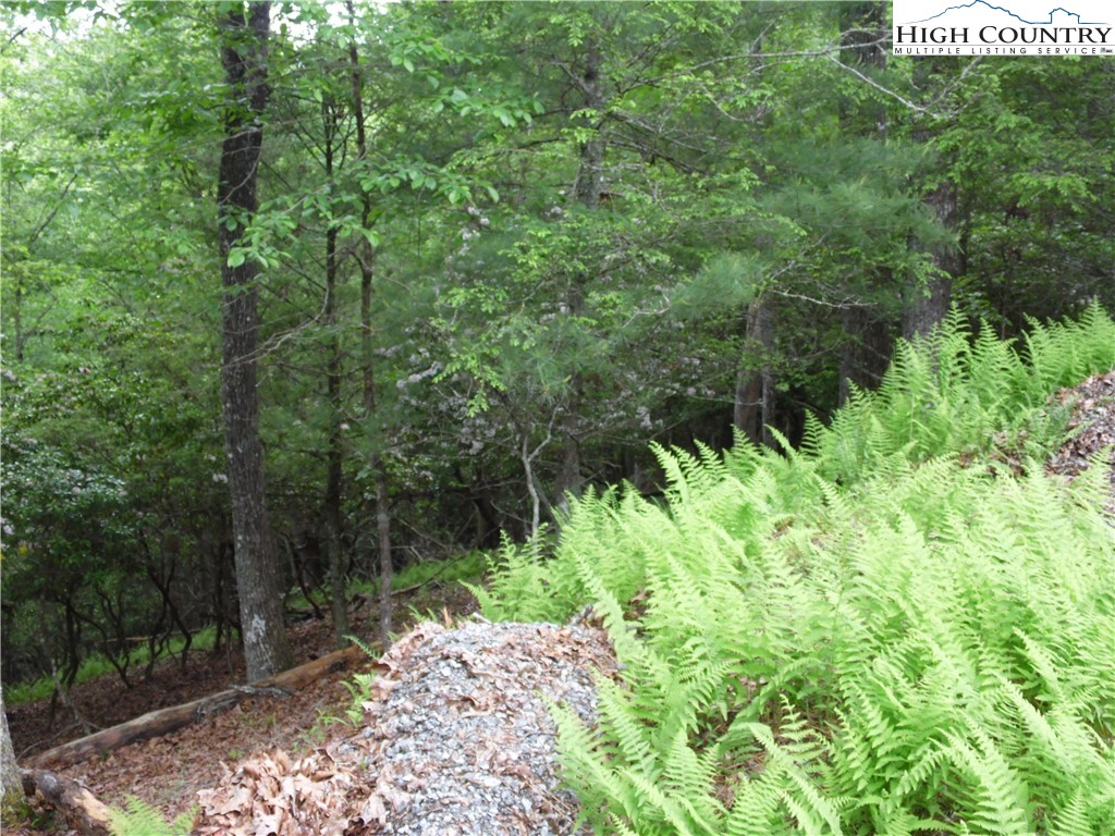 Deer Valley Road Piney Creek, NC 28663 - Photo 6 of 10 a view of a garden with a bench